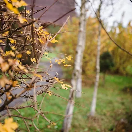 Kolyba Opryshkiv Отель