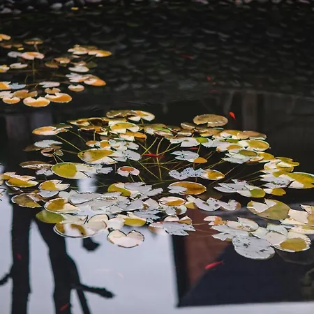 Kolyba Opryshkiv Отель Nizhneye Selishche