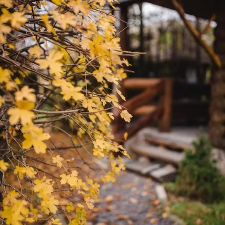 Kolyba Opryshkiv Отель Nizhneye Selishche